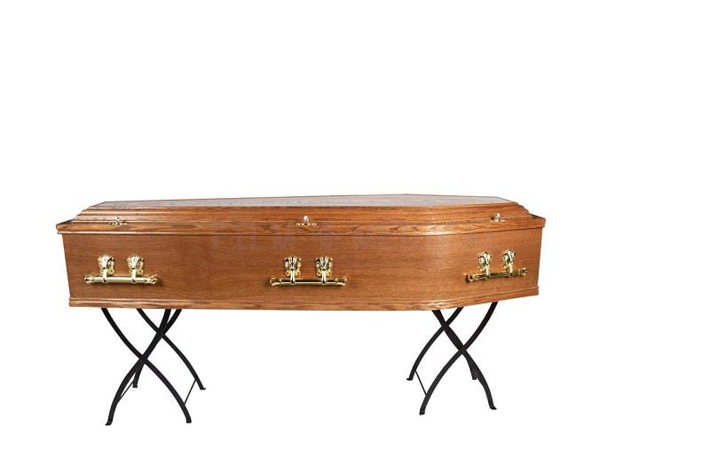 Coffin With Brass Effect (Coffin Only)